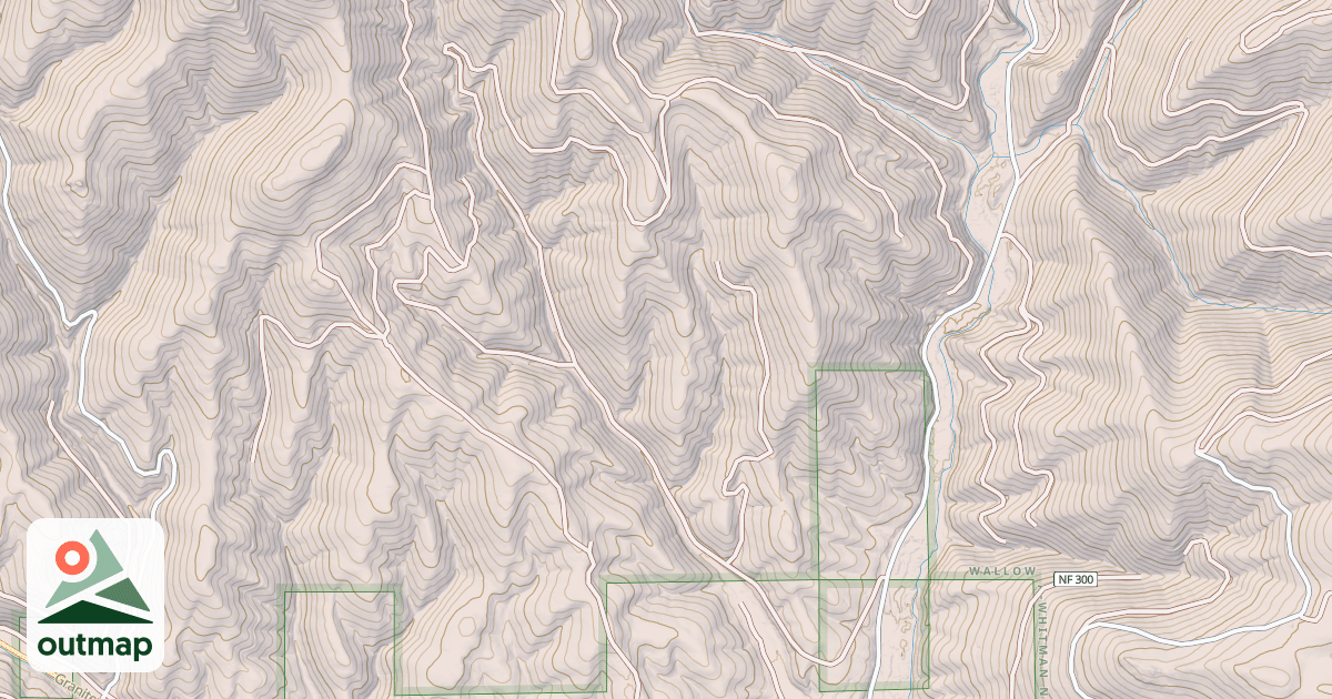 Map of USFS National Forest System Roads {A40CE5BB-9B01-47C9-82F2-1F6EEE42C290}
