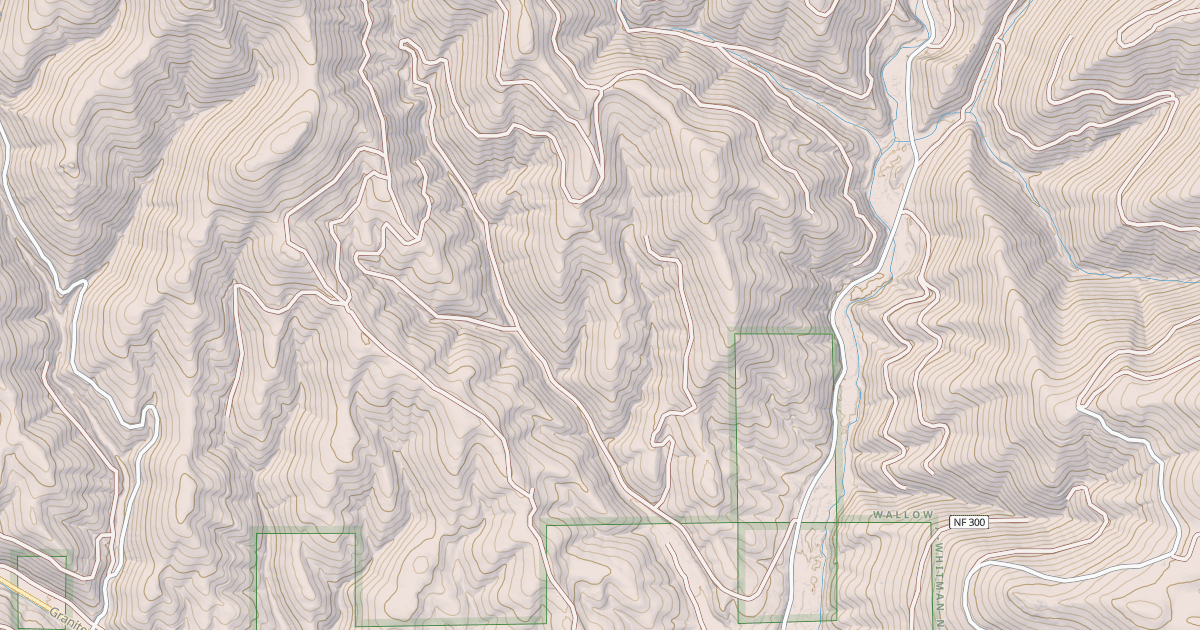 Map preview of USFS National Forest System Roads {A40CE5BB-9B01-47C9-82F2-1F6EEE42C290}