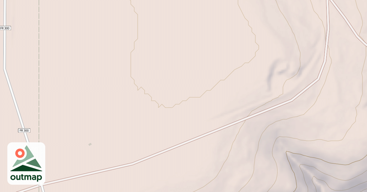 Map of USFS National Forest System Roads {67377FE2-B701-4752-B449-3D92F849CAF7}