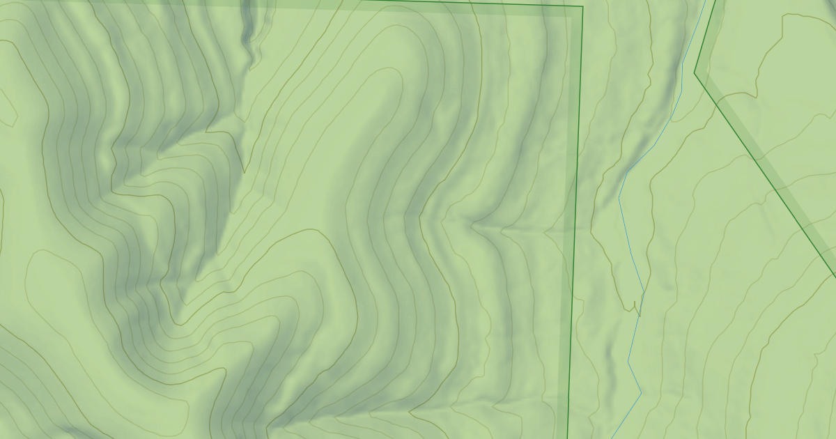 Map preview of USFS National Forest System Roads {F21C0242-8A2C-44E7-BF86-EA0A40069FBC}