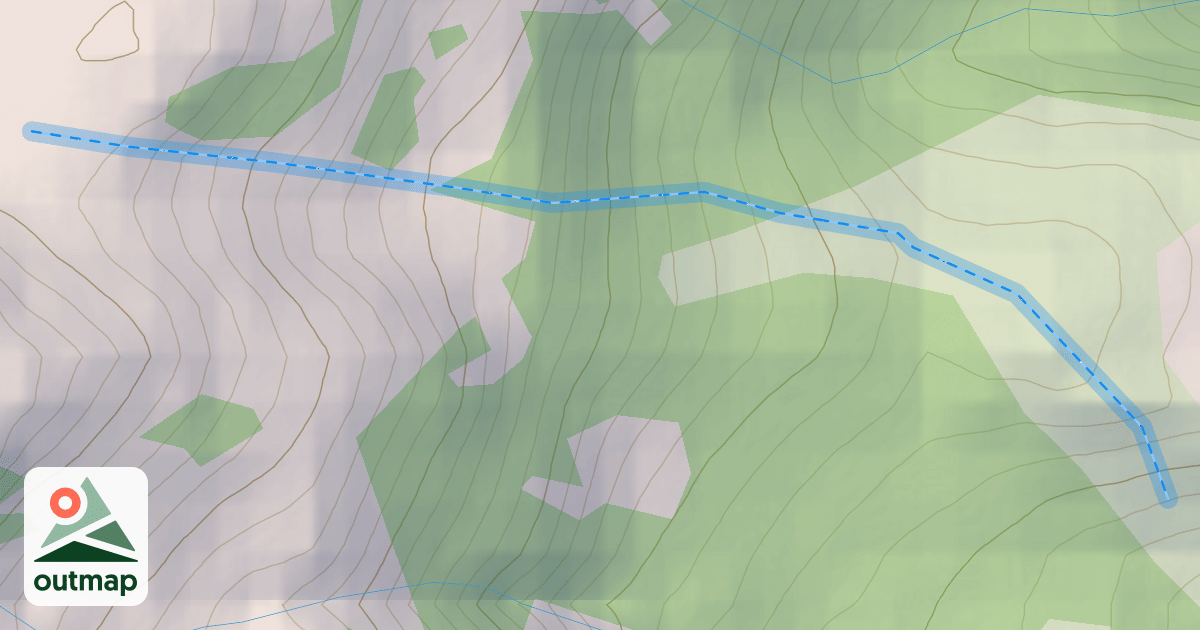 Map of Shady Trees