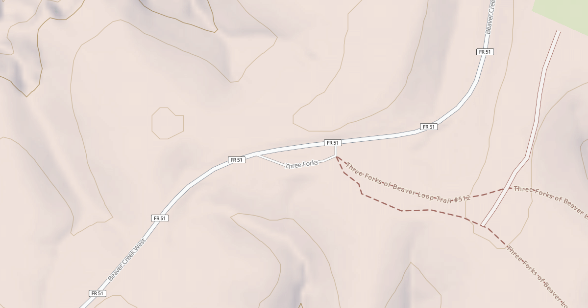 Map preview of THREE FORKS