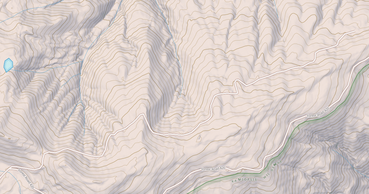 Map preview of COLLIER FAIR