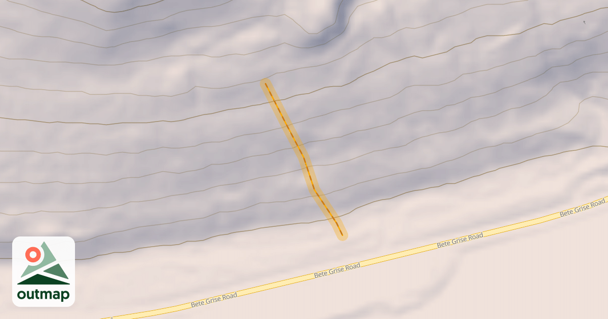 Map of Wandering Grizzly