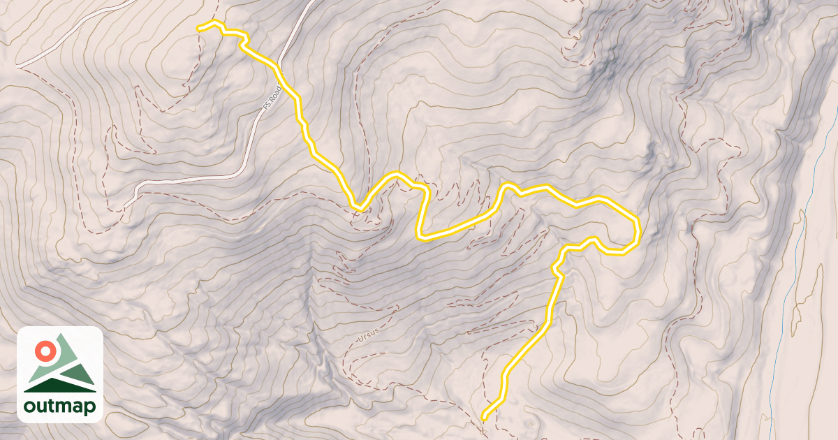 Map of Nexus