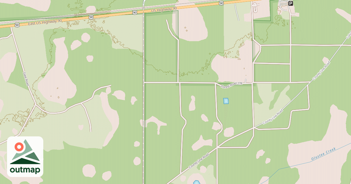 Map of BETULA
