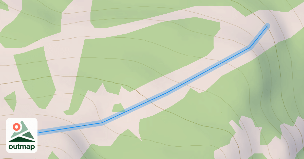 Map of Turkey Trot