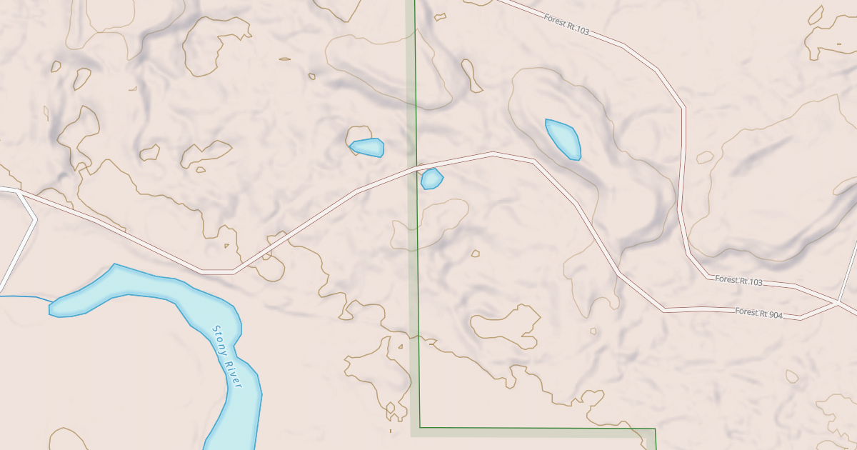 Map preview of MCDOUGAL LAKE SPUR