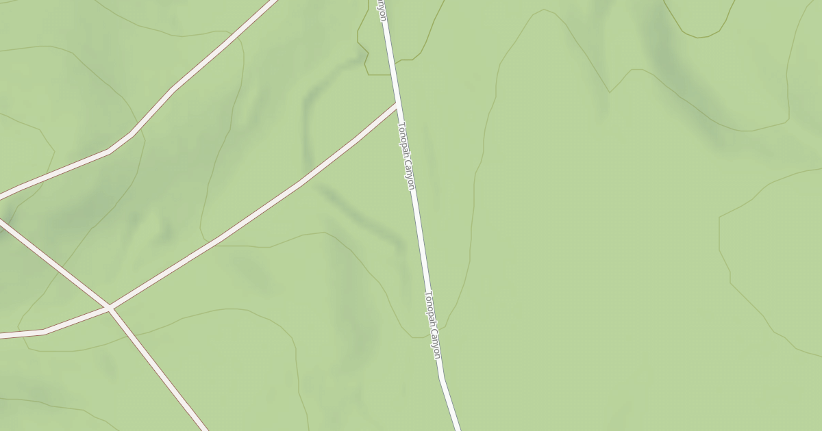 Map preview of BLM National GTLF Public Motorized Roads 3c248988-b9c0-4597-9271-4dbaf2a3890e