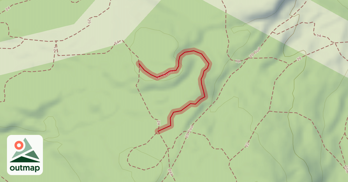 Map of 24 Expert