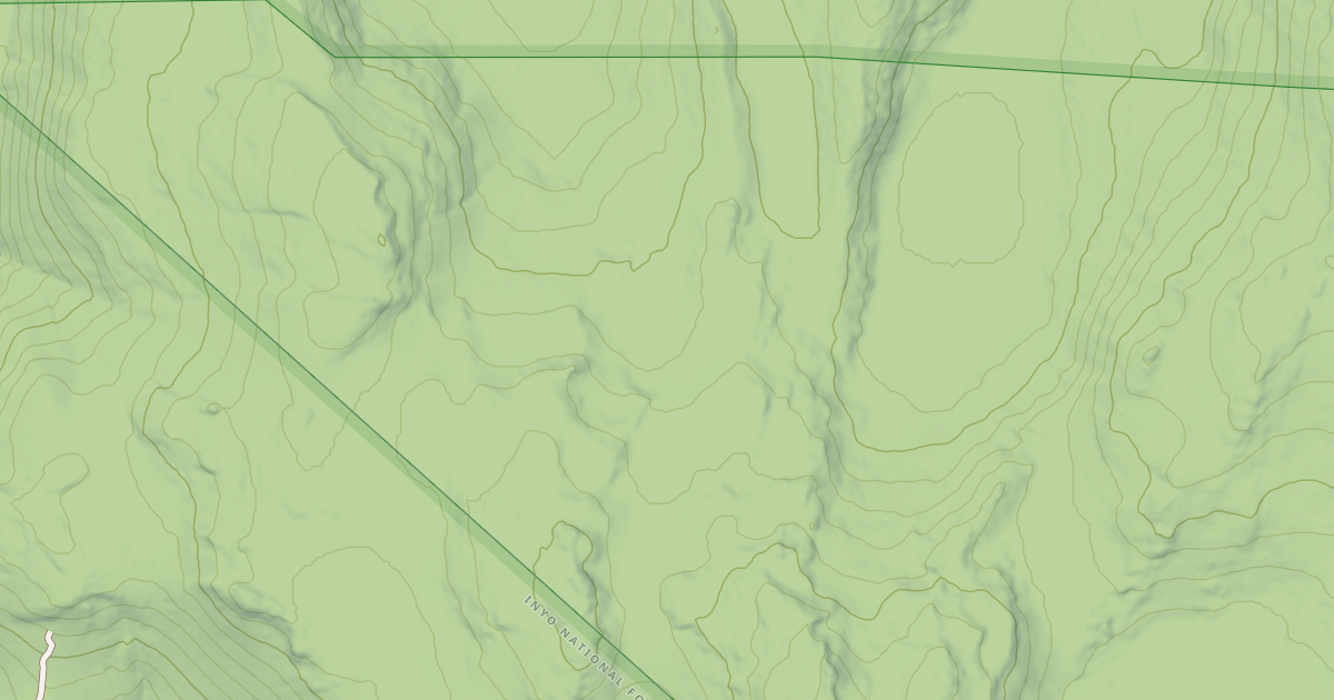 Map preview of USFS Motor Vehicle Use Map Trails 9055