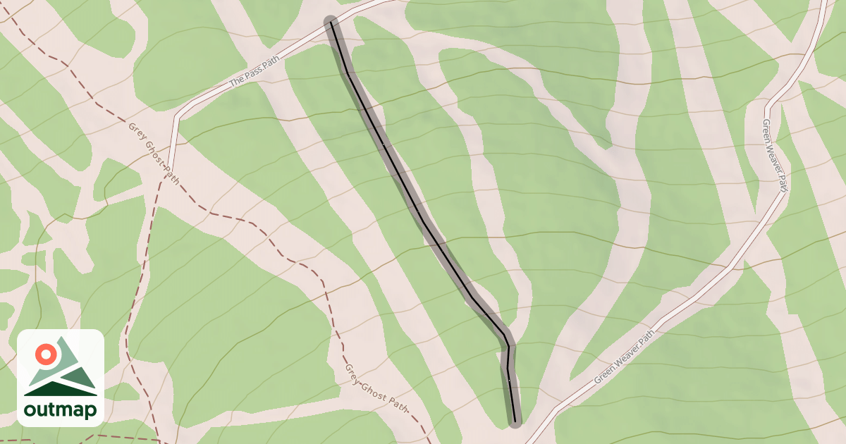 Map of Professor