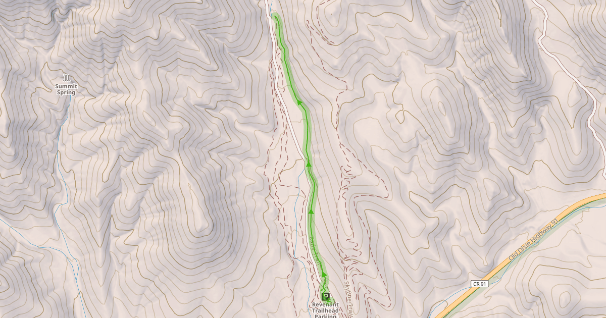 Map preview of Rally Trail