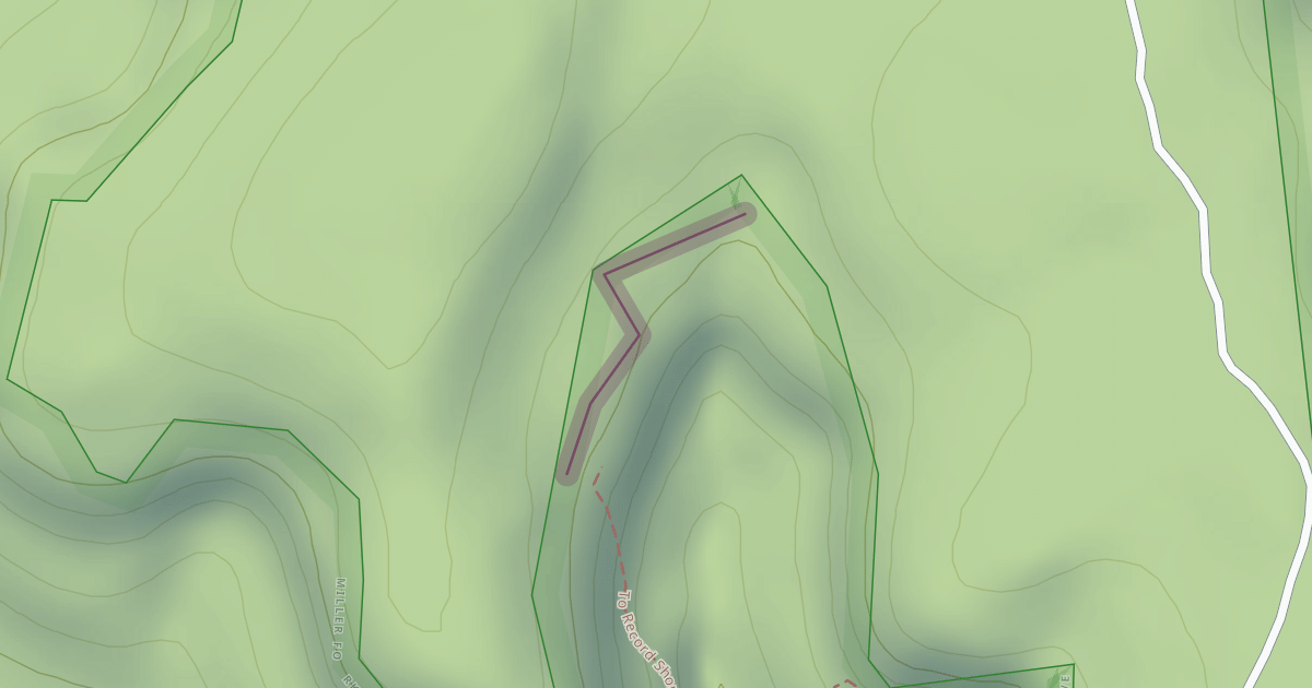 Map preview of The Record Shop