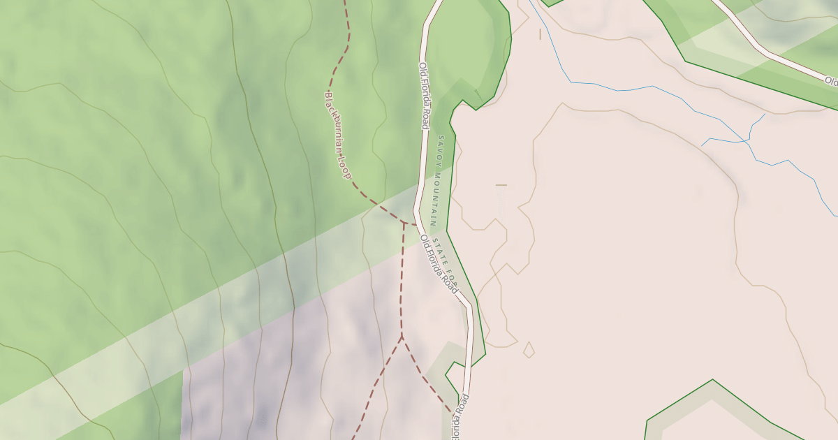 Map preview of Old Florida Road