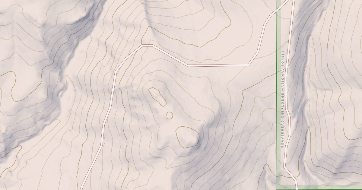 Map preview of BLM National GTLF Public Motorized Roads 2f36882c-c83c-43f0-923c-99d824294e51