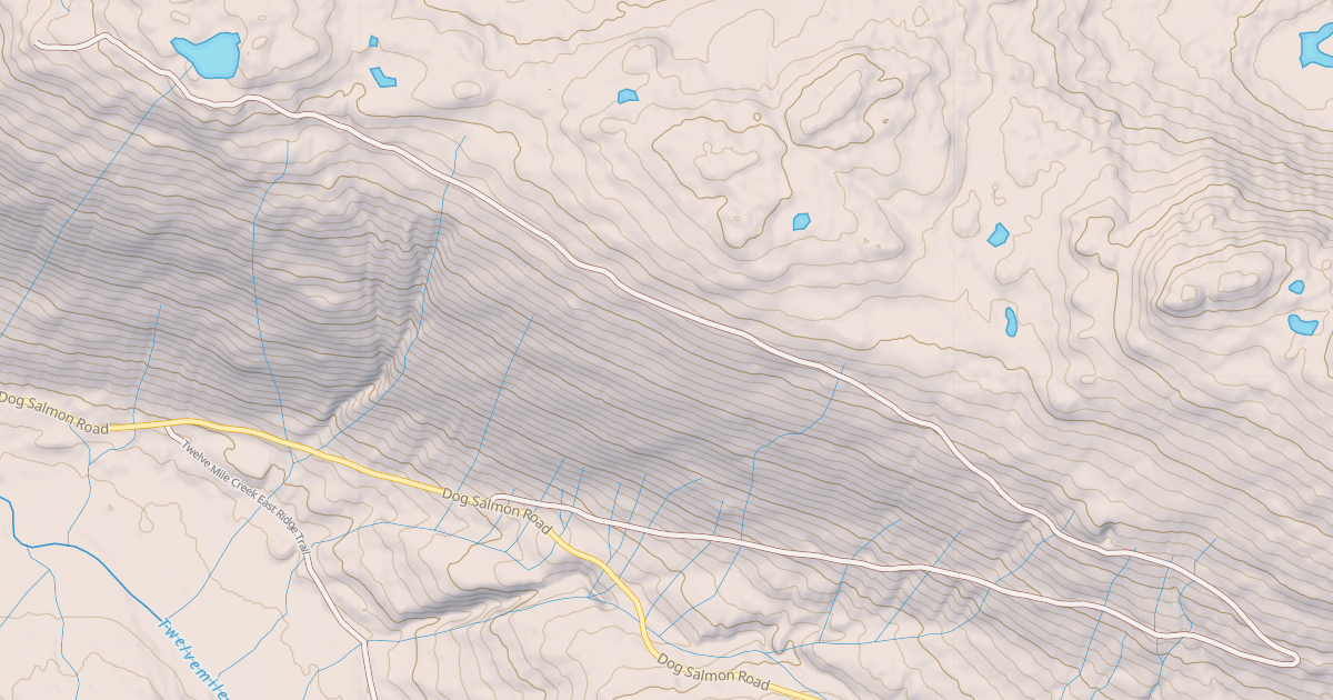 Map preview of USFS Motor Vehicle Use Map Roads {48100034-F641-4F9A-A31E-C4A521437EA1}