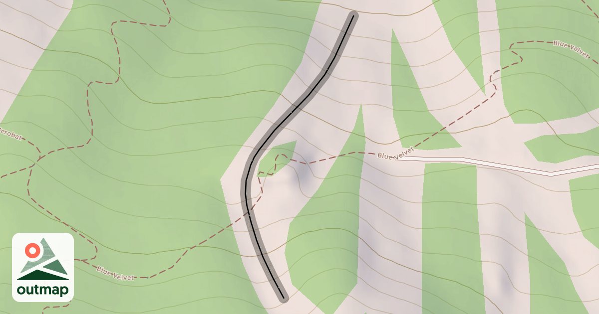 Map of Bear Paw