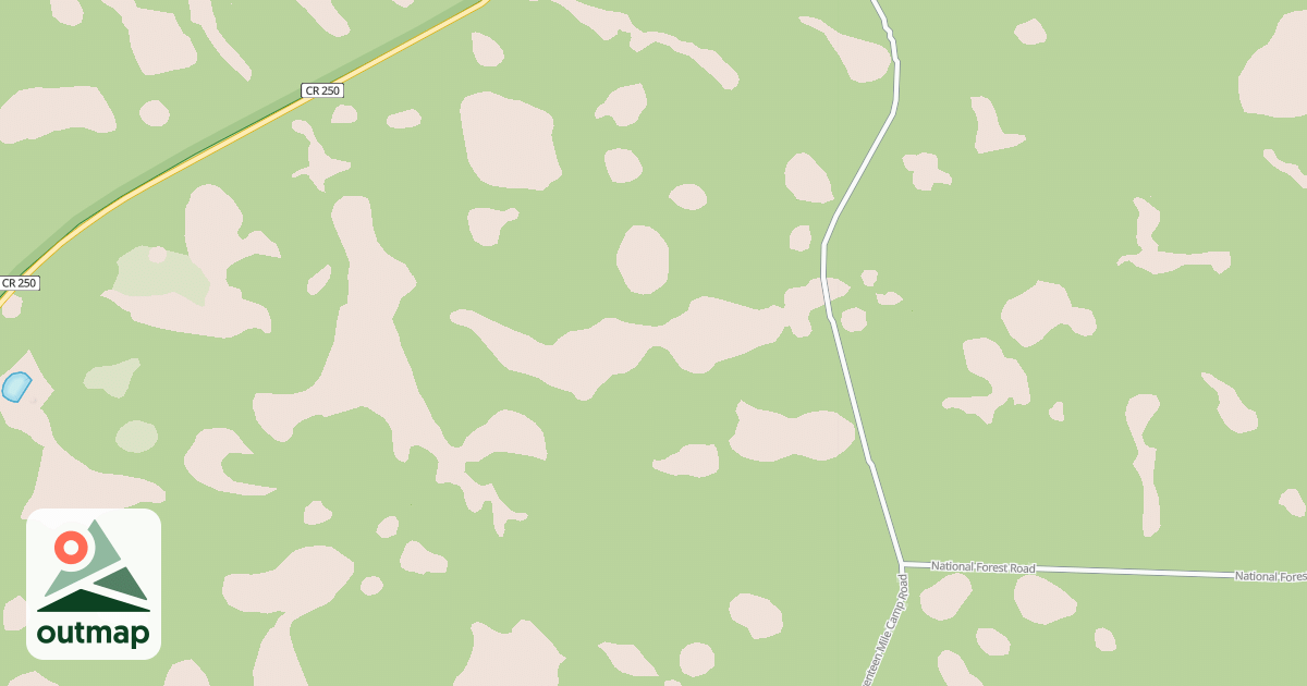 Map of USFS National Forest System Roads {ECC324C5-EAA1-451F-8185-F5F8B0F137E0}