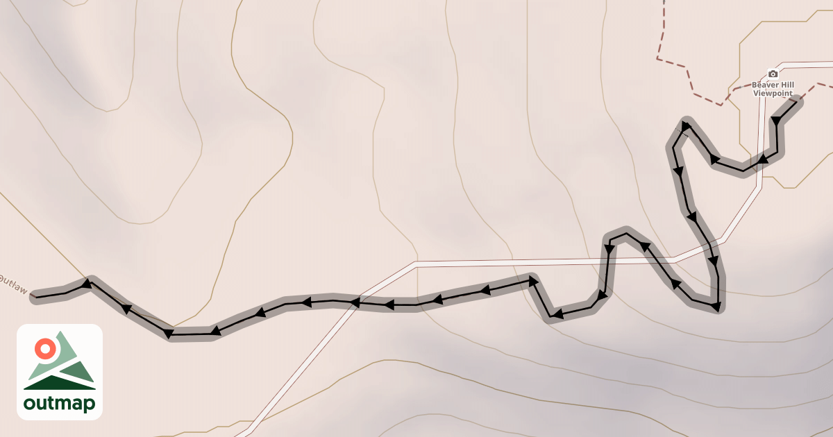Map of Blind Tiger