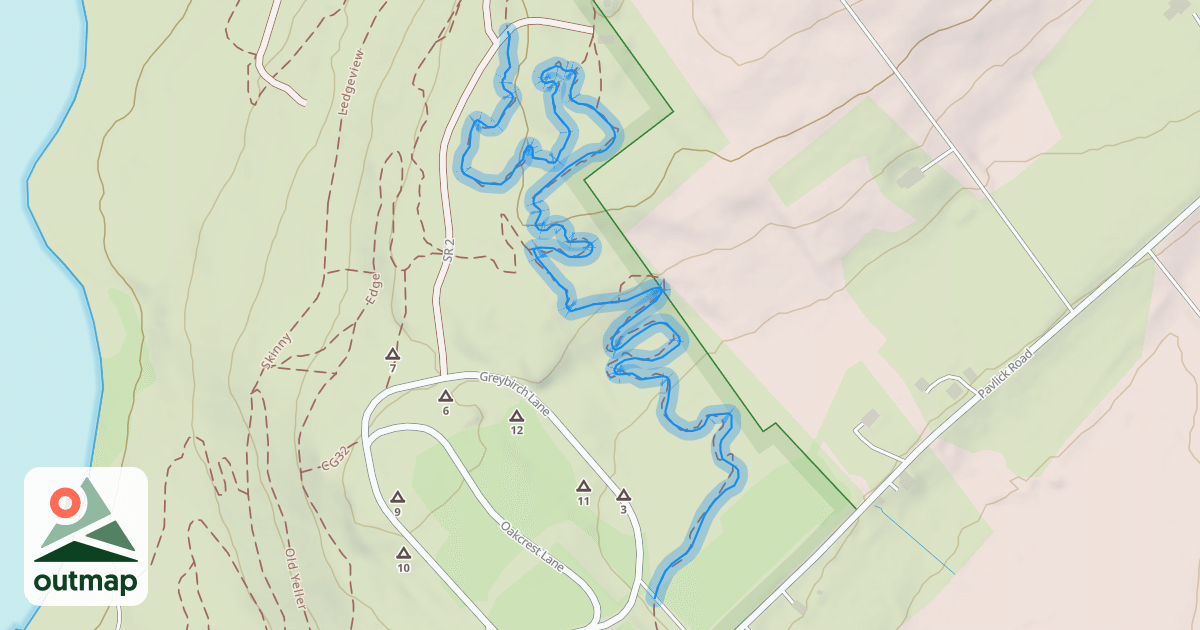 Map of T-Rex 2