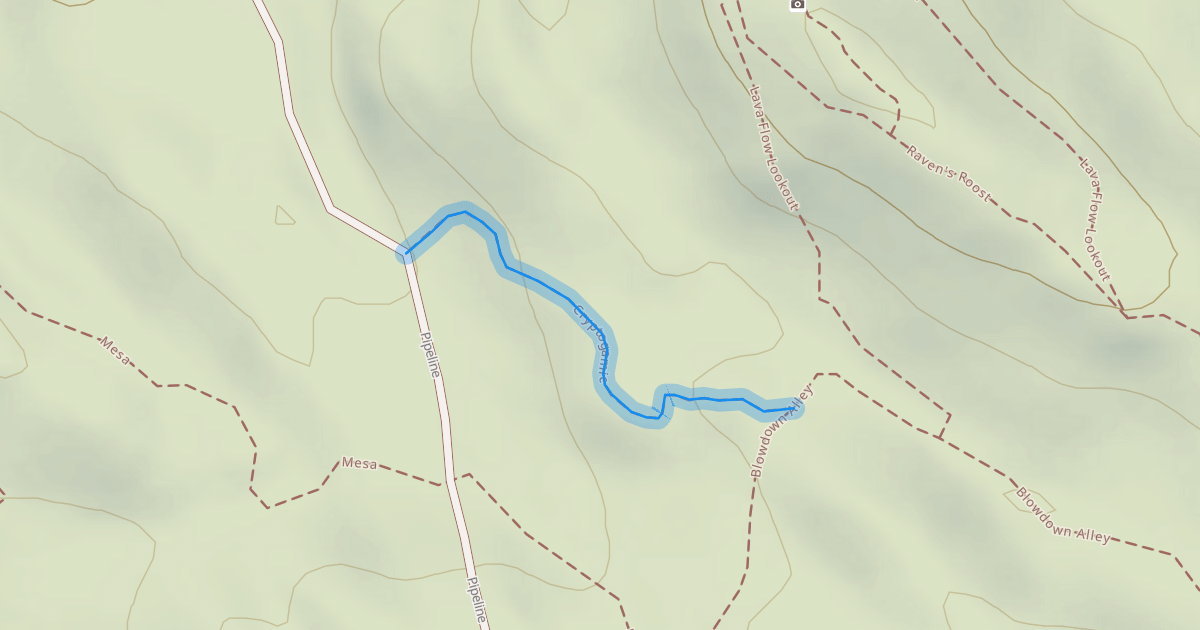Map preview of Cryptogamic