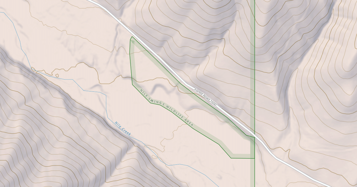 Map preview of USFS National Forest System Roads {D60646C5-730B-4799-AD71-ED42ABE8897C}