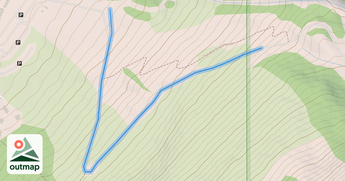 Map of Tanaka Cat Road