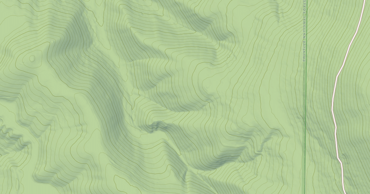 Map preview of USFS Motor Vehicle Use Map Roads {013E922E-0374-4911-B2EB-12F6AEB94552}