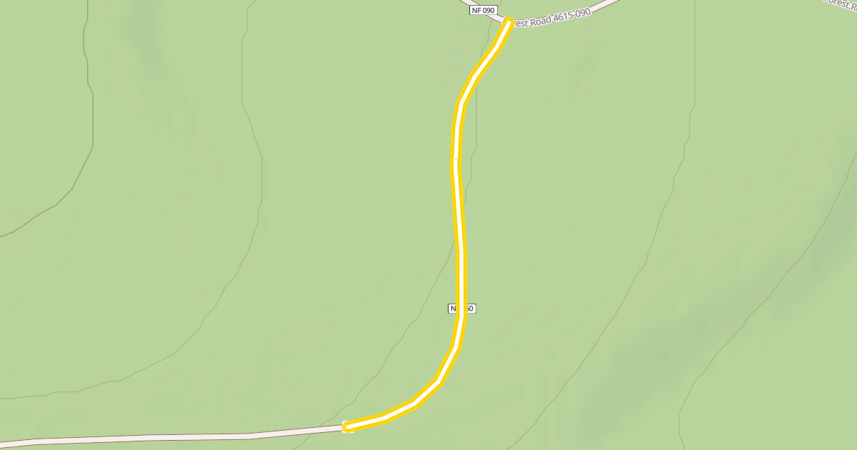 Map preview of Forest Road 4615-060