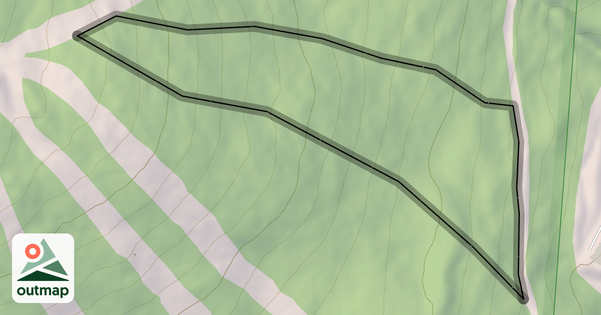 Map of Forrest Bump
