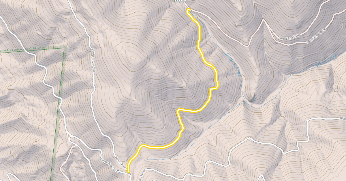Map preview of Forest Road 5808