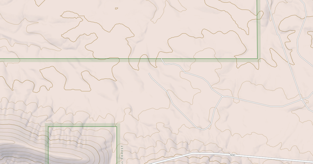 Map preview of USFS National Forest System Roads {D31238DC-B235-4FFA-8F52-8B37406A077D}