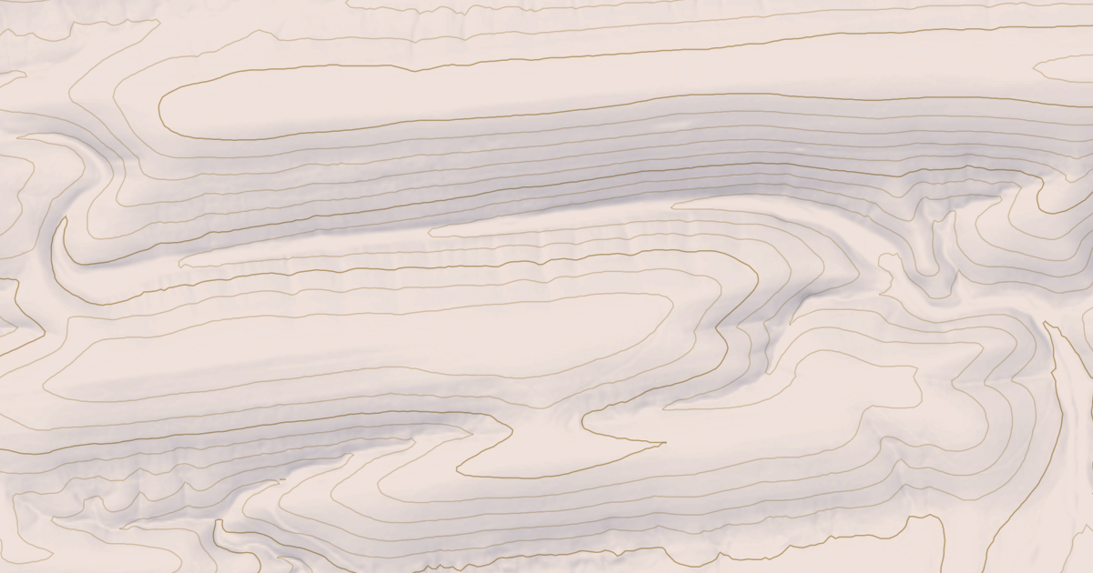Map preview of TYLER BRANCH