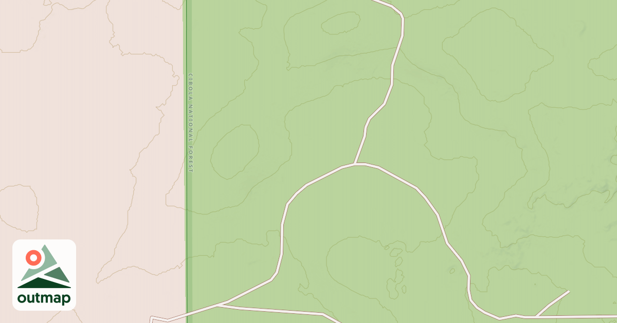 Map of USFS National Forest System Roads {D10AC789-10B1-4A07-BE98-23AFE3F8E909}