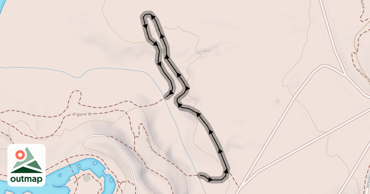 Map of Figure 8