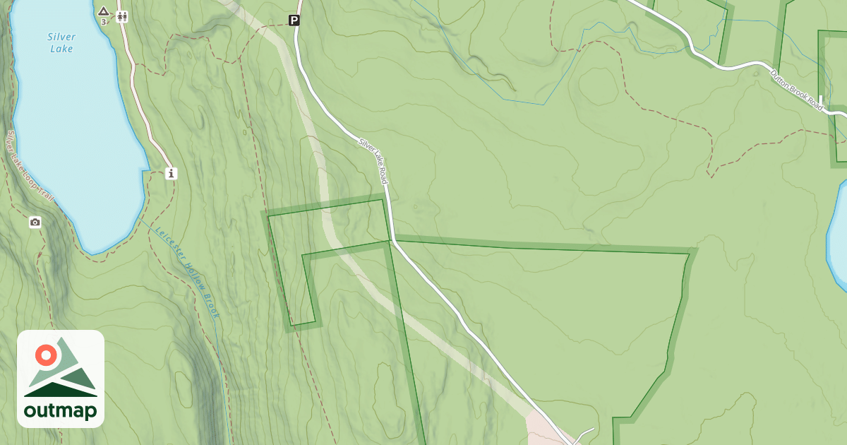 Map of SILVER LAKE