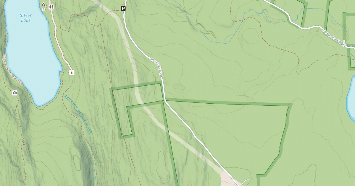 Map preview of SILVER LAKE