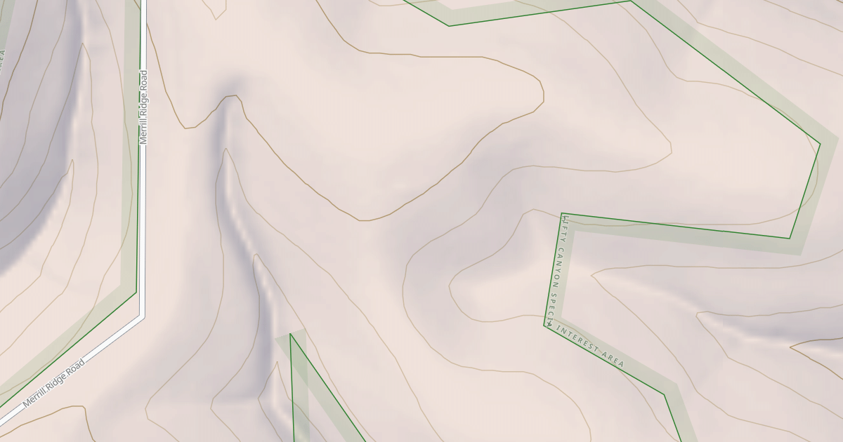 Map preview of USFS National Forest System Roads {6136AE44-673B-4E81-9DC6-5368092CDB48}