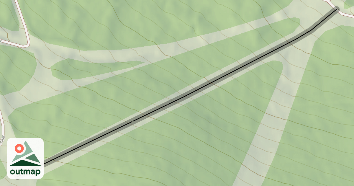Map of Lower Birdland