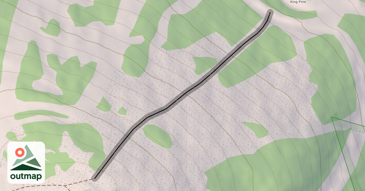 Map of Ignitor