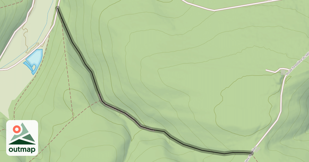 Map of Route Forestière du Chemin de Courcelles