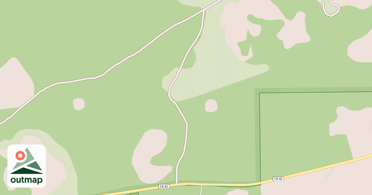 Map of USFS National Forest System Roads {C4F2BD27-6F4F-493D-B9F0-75422085C33F}