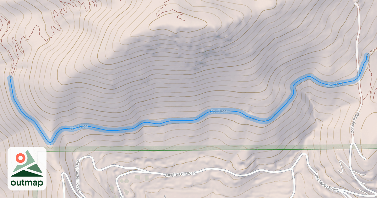 Map of The Face