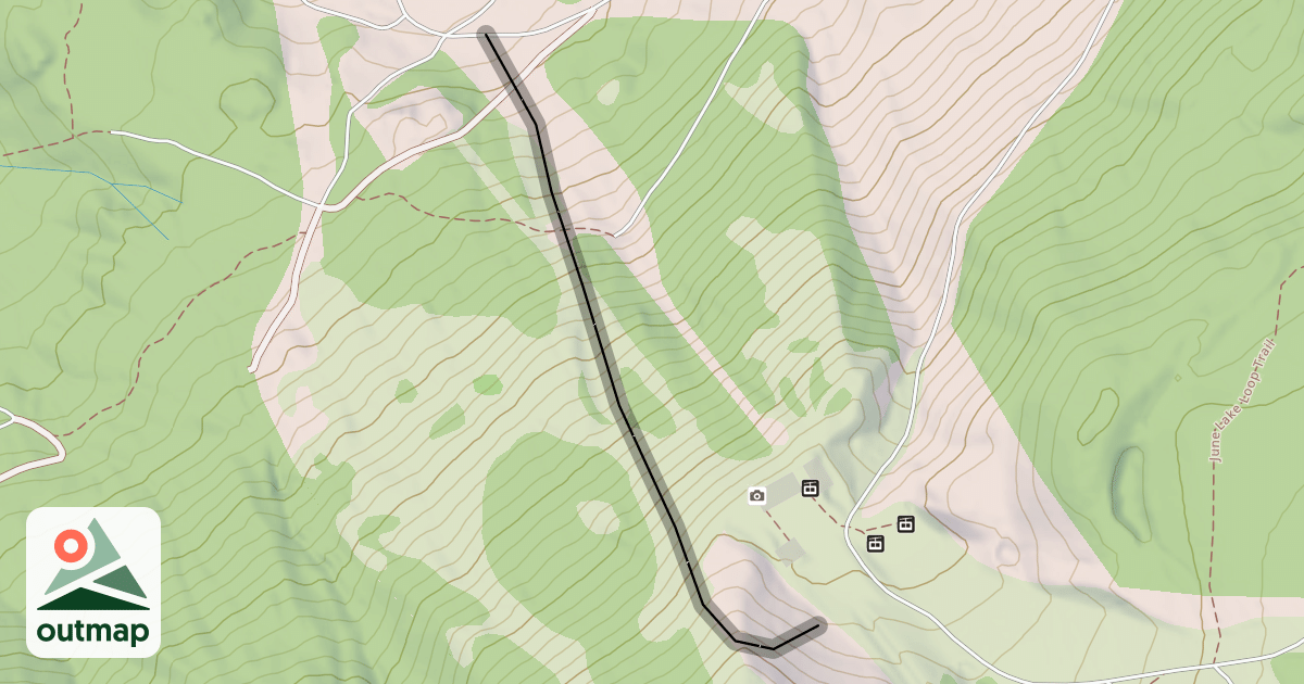 Map of The Face
