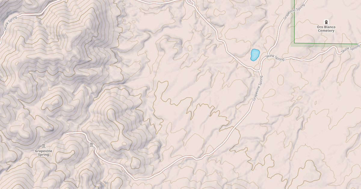 Map preview of GRAPEVINE SPRING