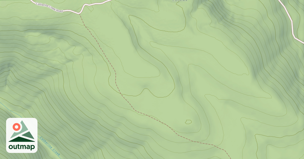 Map of USFS National Forest System Roads {BBA6DA45-481A-4998-A30B-A4A3939804E8}