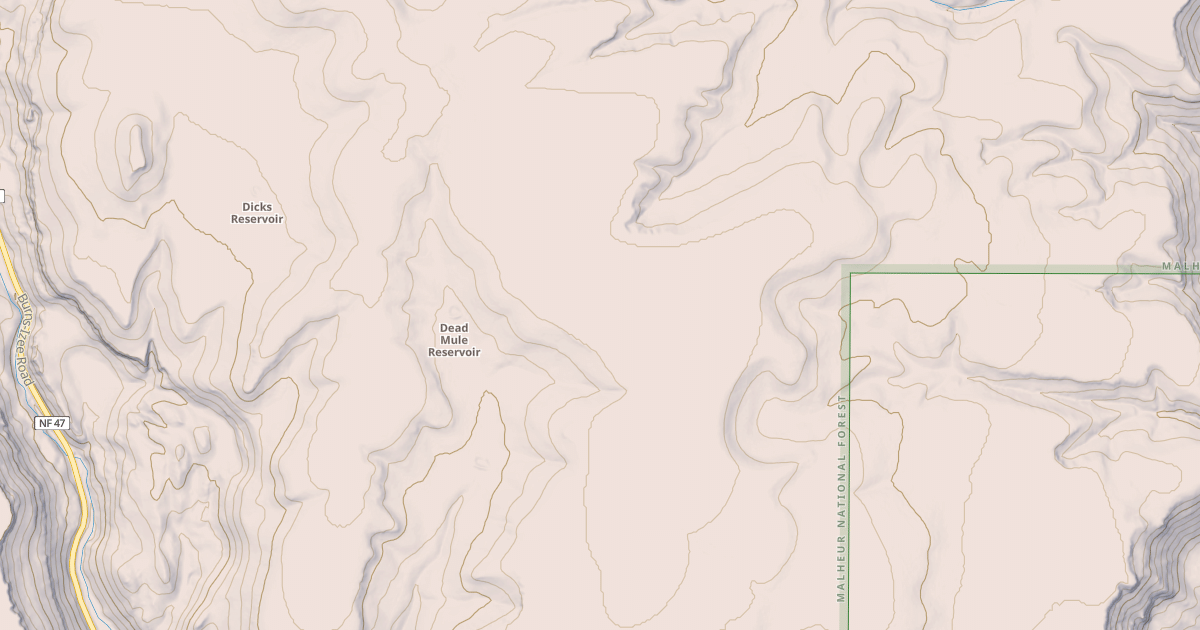 Map preview of USFS National Forest System Roads {0278E56E-DADF-498A-AD34-9F0928EE8F19}