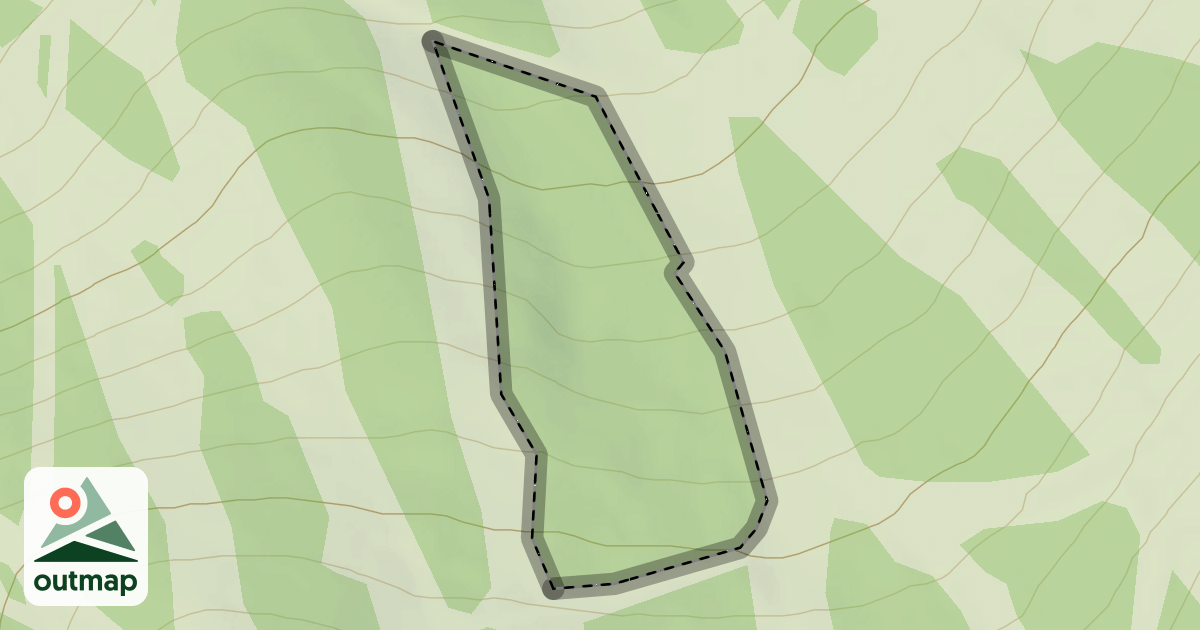 Map of T-Bird Glade