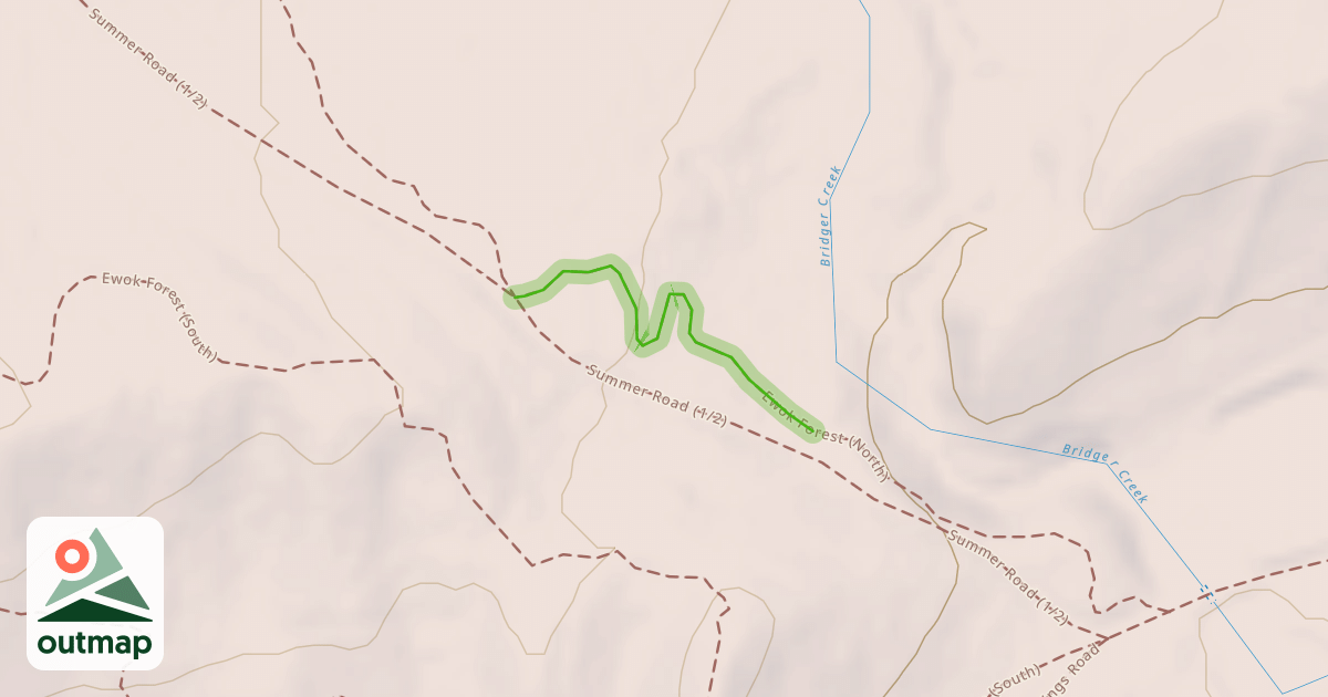 Map of Ewok Forest (North)